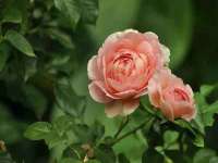 北京益佳购电子商务有限公司