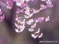 北京益佳购电子商务有限公司