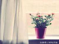 北京益佳购电子商务有限公司
