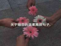北京益佳购电子商务有限公司