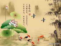 北京益佳购电子商务有限公司