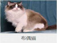 北京益佳购电子商务有限公司