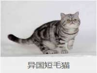北京益佳购电子商务有限公司