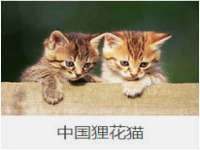 北京益佳购电子商务有限公司