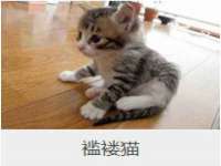 北京益佳购电子商务有限公司