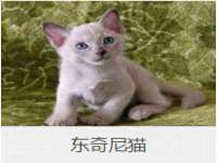 北京益佳购电子商务有限公司