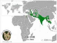 北京益佳购电子商务有限公司