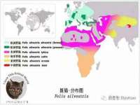 北京益佳购电子商务有限公司