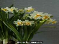 北京益佳购电子商务有限公司