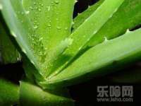 北京益佳购电子商务有限公司