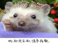 北京益佳购电子商务有限公司