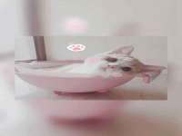 北京益佳购电子商务有限公司