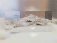 北京益佳购电子商务有限公司