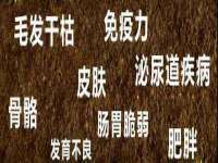 北京益佳购电子商务有限公司
