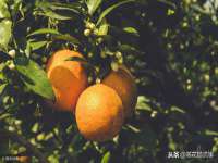 北京益佳购电子商务有限公司