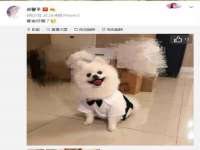北京益佳购电子商务有限公司