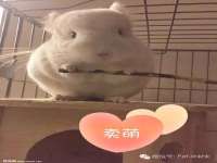 北京益佳购电子商务有限公司