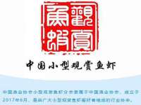 北京益佳购电子商务有限公司