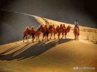 北京益佳购电子商务有限公司