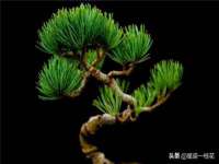 北京益佳购电子商务有限公司