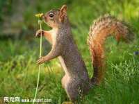 北京益佳购电子商务有限公司